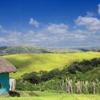 Transkei 1