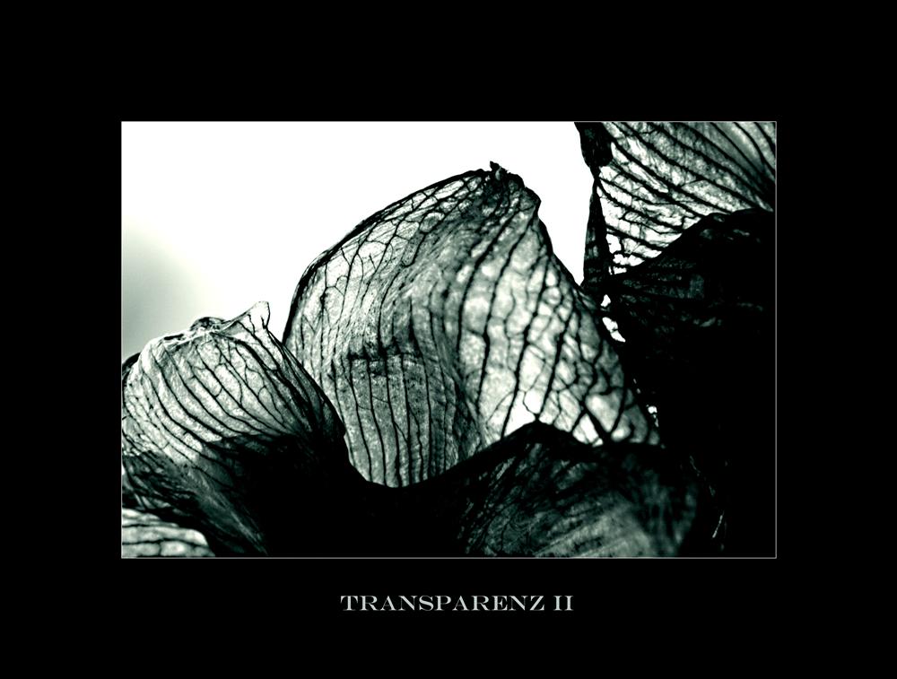 Transparenz II