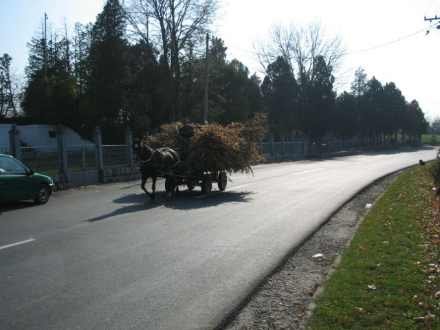 Transport