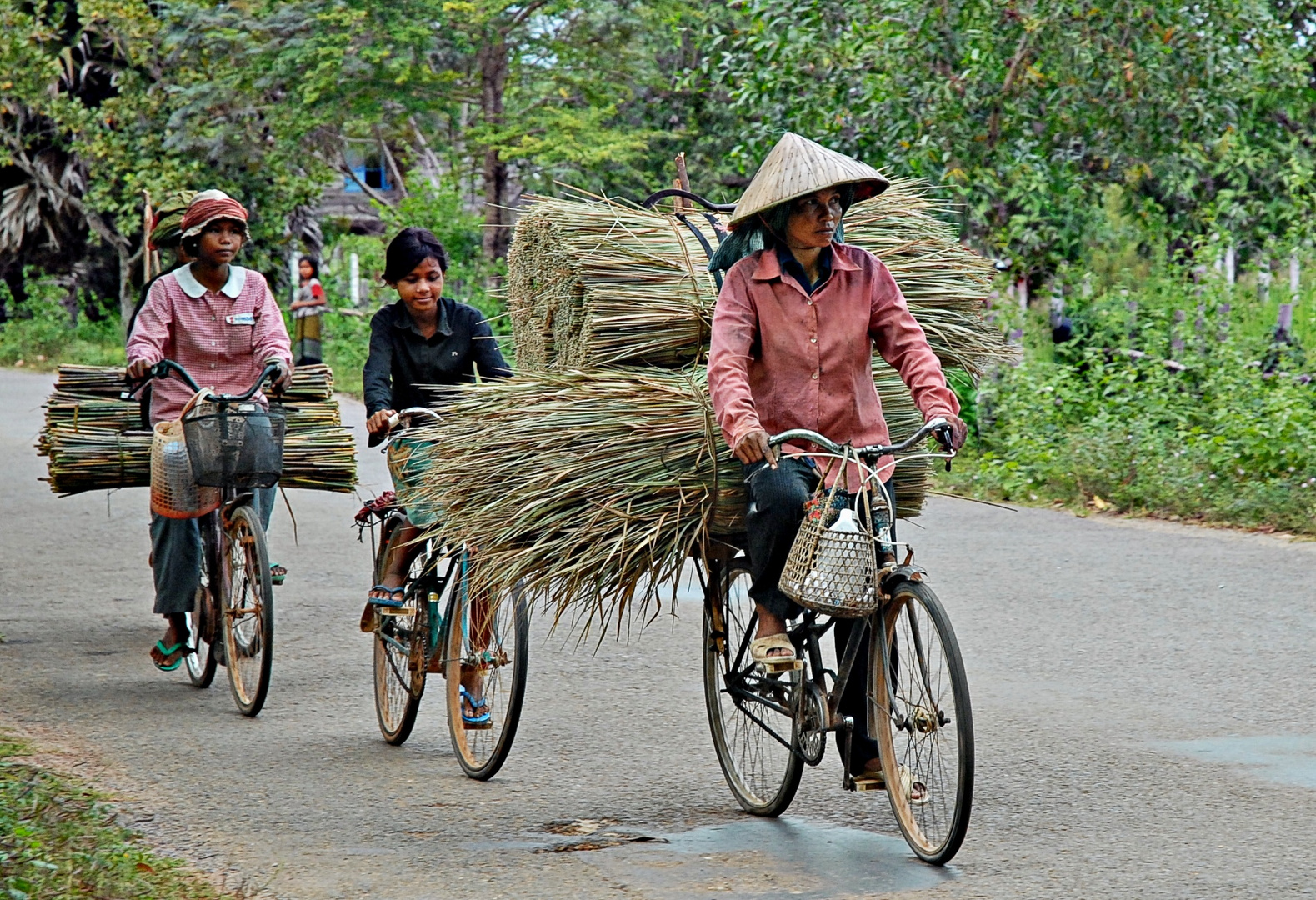 transport à vélo