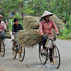 transport à vélo