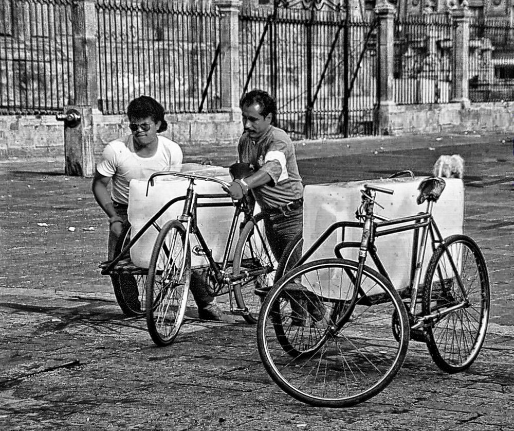 Transport de pains de glace