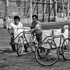 Transport de pains de glace