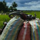 ...Transport in Kambodscha...