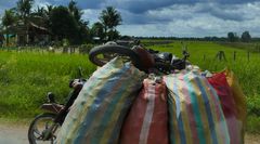 ...Transport in Kambodscha...