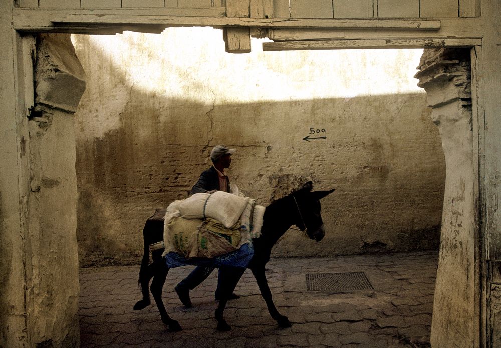 Transport in Meknes