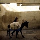 Transport in Meknes