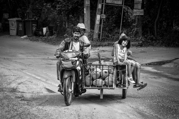 transport of coconuts