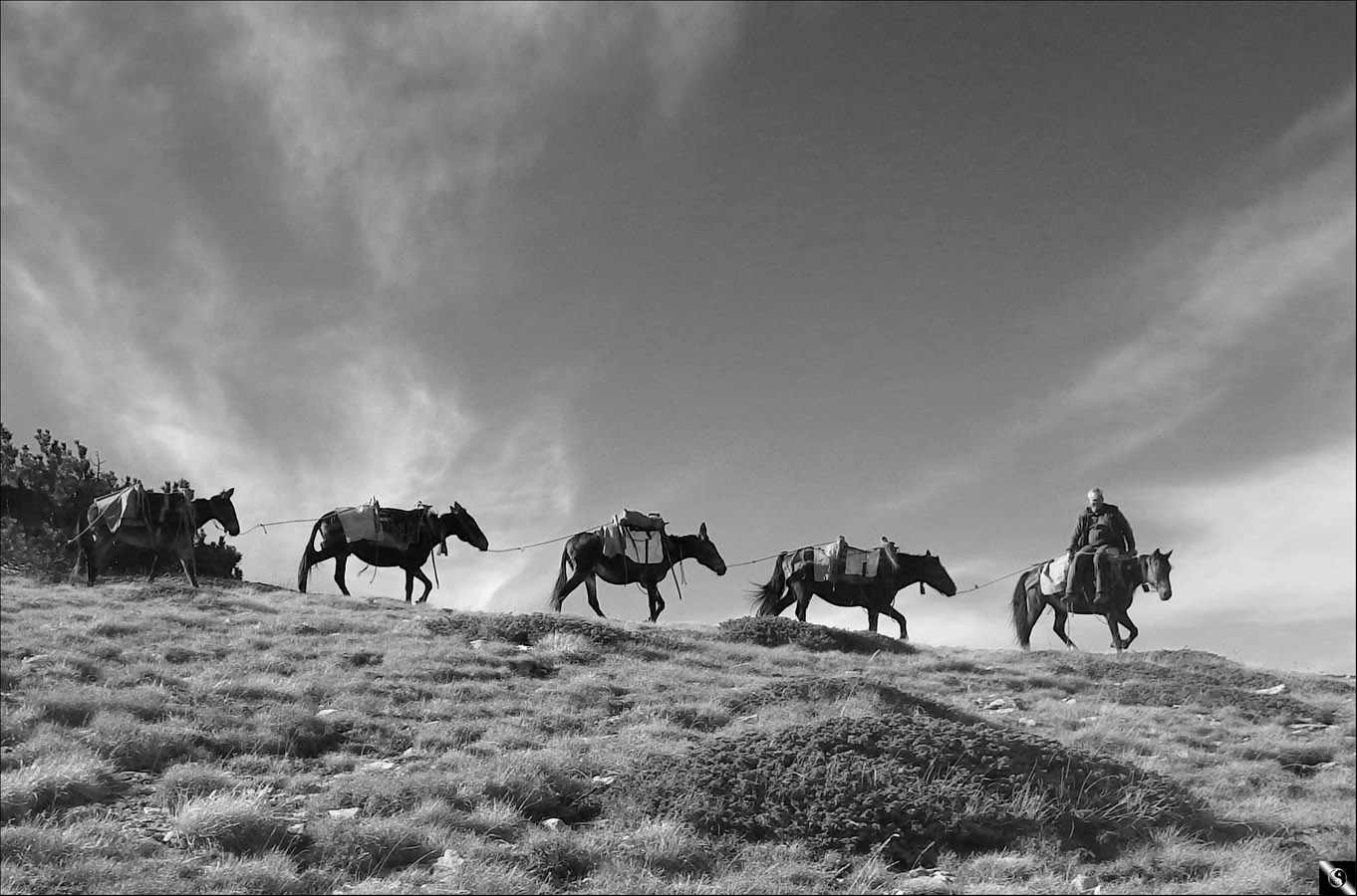 Transportaciones en altura de 2800 metros. Olympus ,Grecia