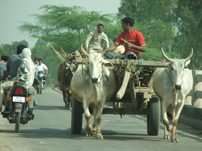 Transportation in India