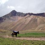 Transporte al Aconcagua