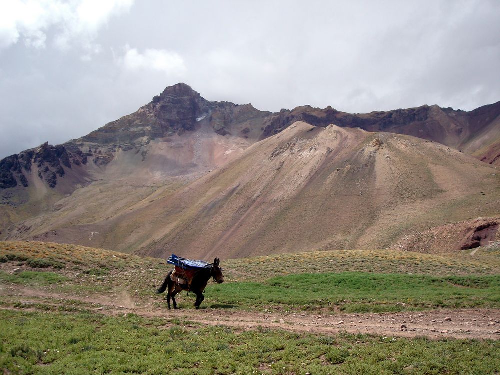 Transporte al Aconcagua