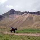 Transporte al Aconcagua