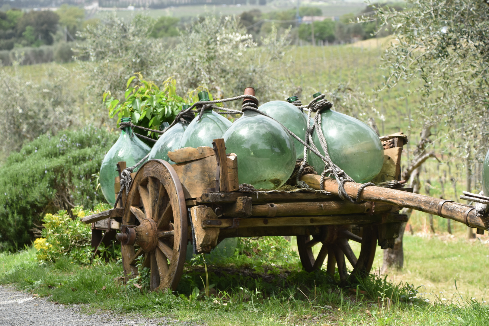 Transporte al Domini