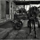 Transporte de Cienfuegos