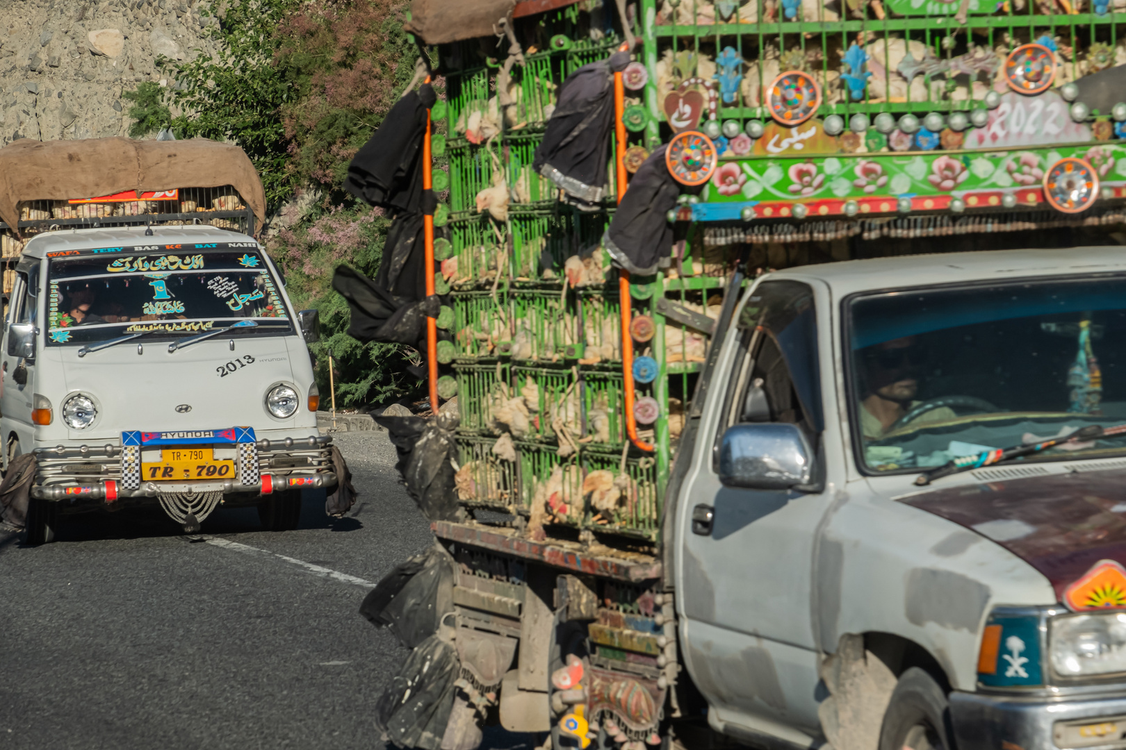 Transporte de pollos