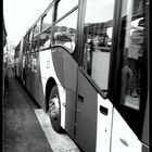 Transporte en Quito - Ecuador. (fek76@hotmail.com) Derechos reservados.