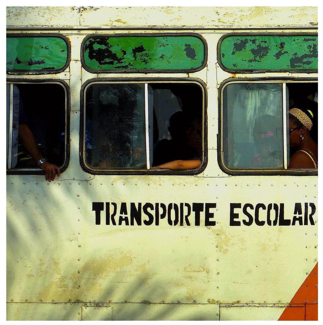 < TRANSPORTE ESCOLAR >