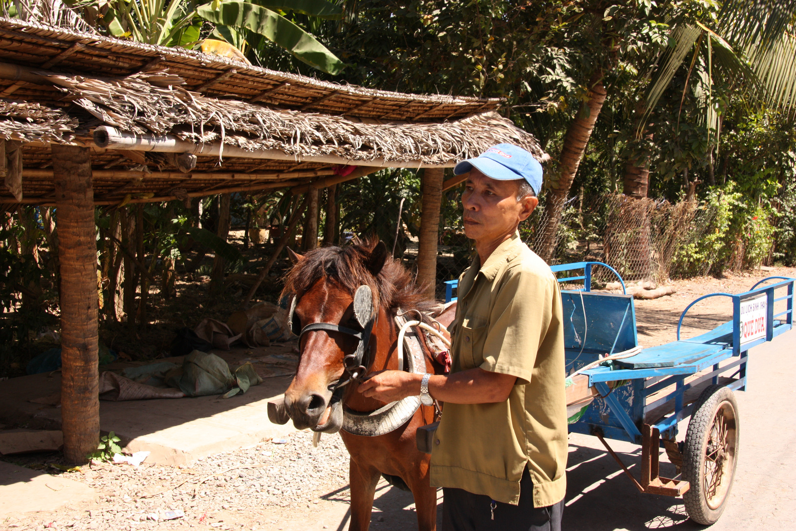 Transportmittel Nr. 2 auf den Inseln im Mekong Delta