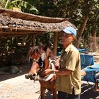 Transportmittel Nr. 2 auf den Inseln im Mekong Delta