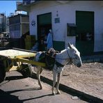 Transportuntenehmen in Hurghada