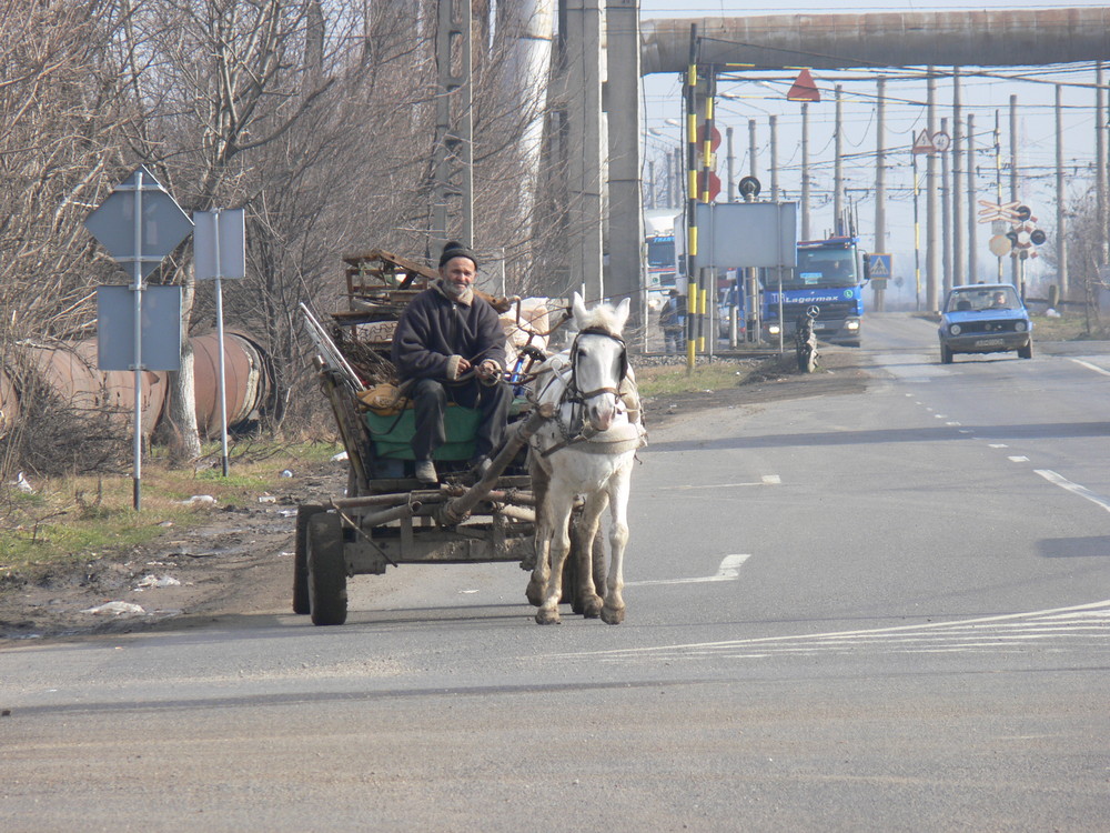 Transportunternehmen im Gegensatz