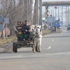 Transportunternehmen im Gegensatz