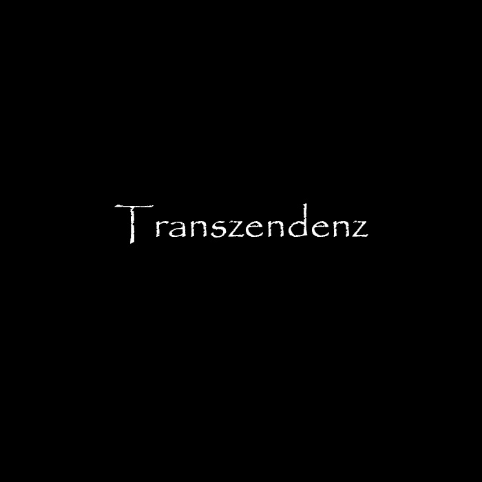 Transzendenz