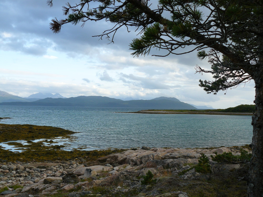 Tranøybotn / Senja