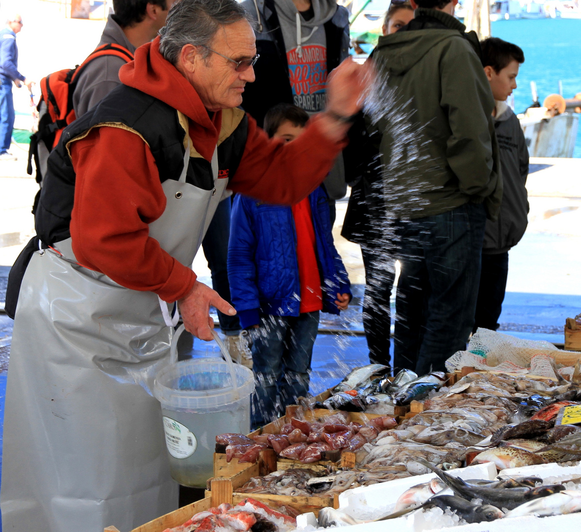 Trapani Fischmarkt am Hafen