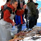 Trapani Fischmarkt am Hafen