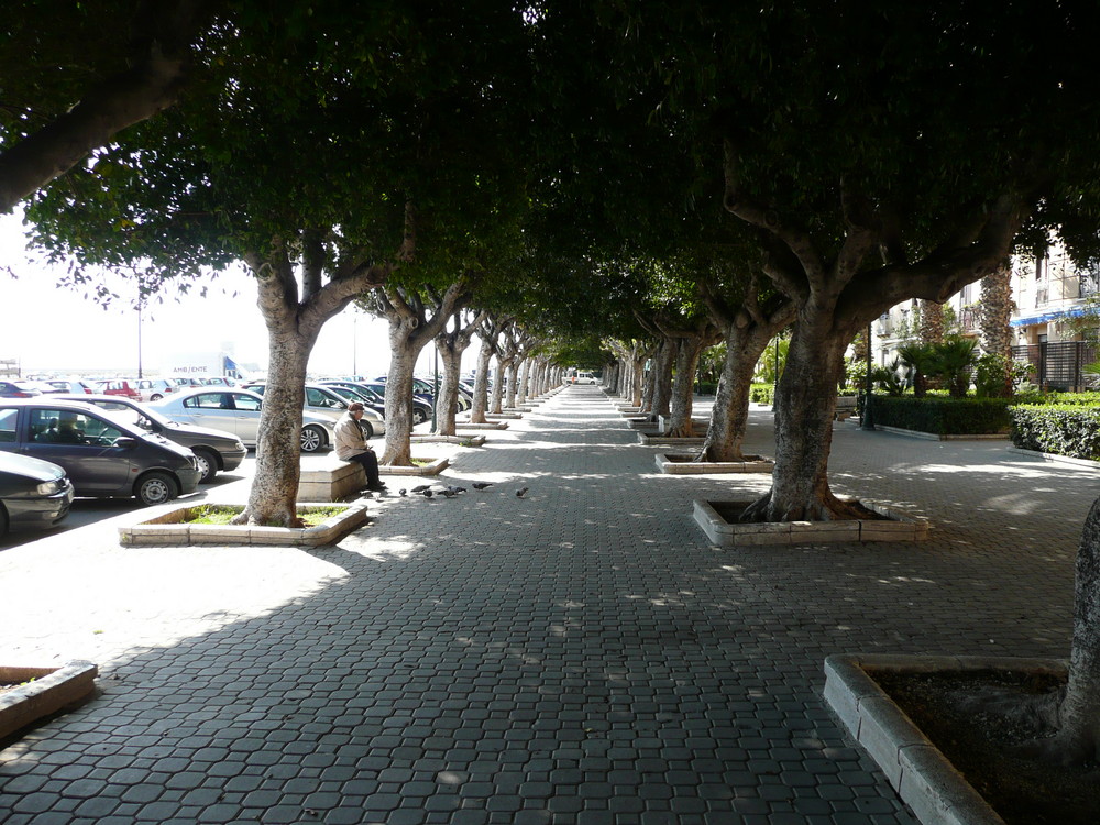 Trapani- In der Nähe der Hafen, schön in der Schatten verveilen....