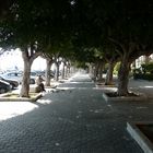 Trapani- In der Nähe der Hafen, schön in der Schatten verveilen....