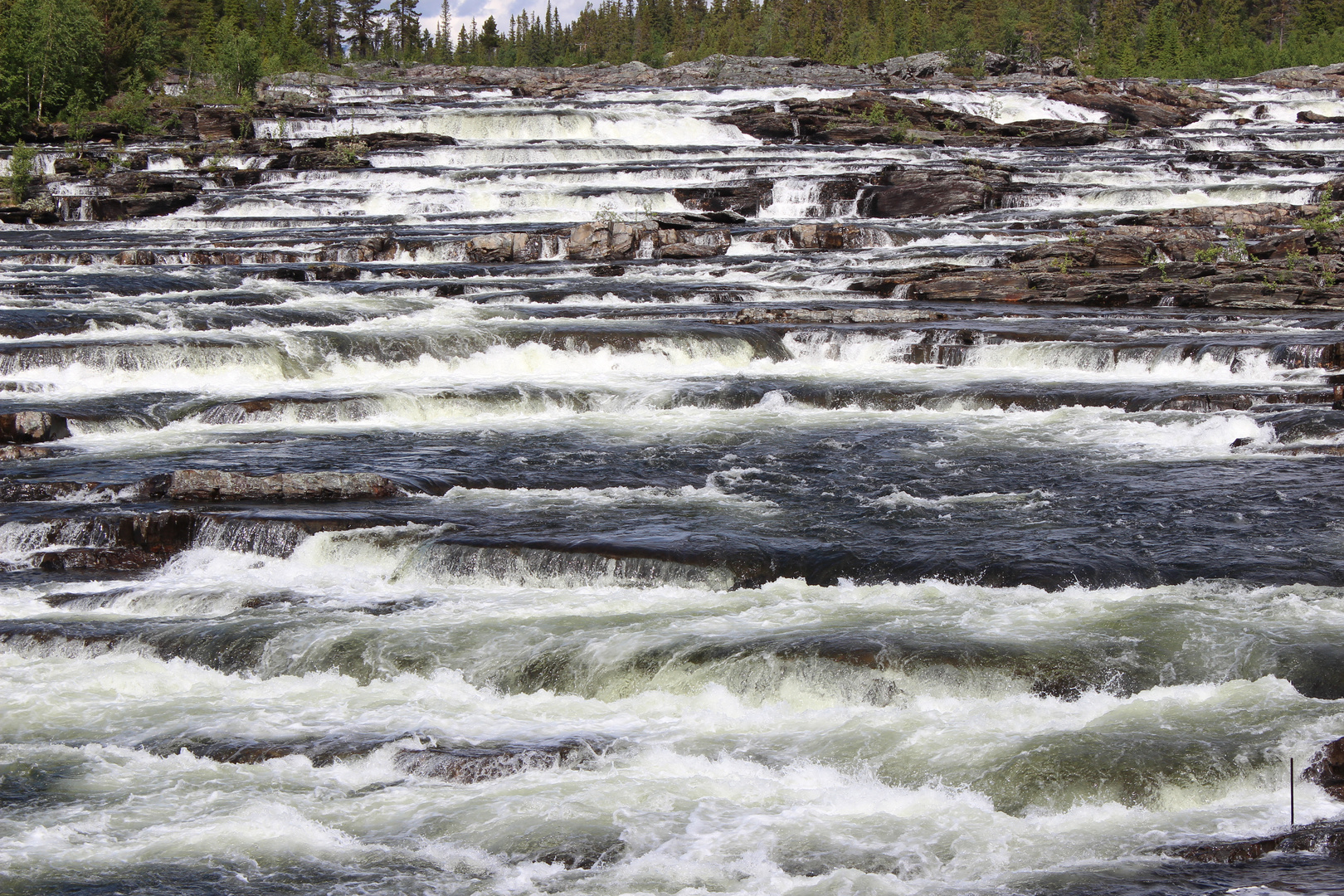 "Trapstegs-forsana"  Lappland