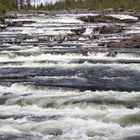 "Trapstegs-forsana"  Lappland