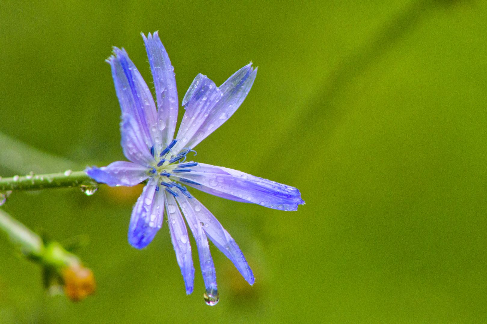 Tras la lluvia