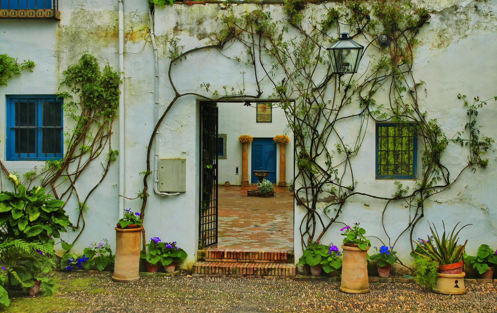 TRAS LA PUERTA EL PATIO DE LOS JARDINEROS.