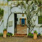 TRAS LA PUERTA EL PATIO DE LOS JARDINEROS.