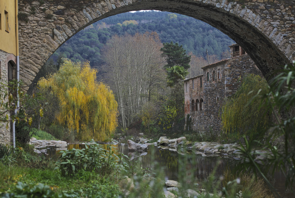 TRAS LOS PASOS DE SERRALLONGA VIII