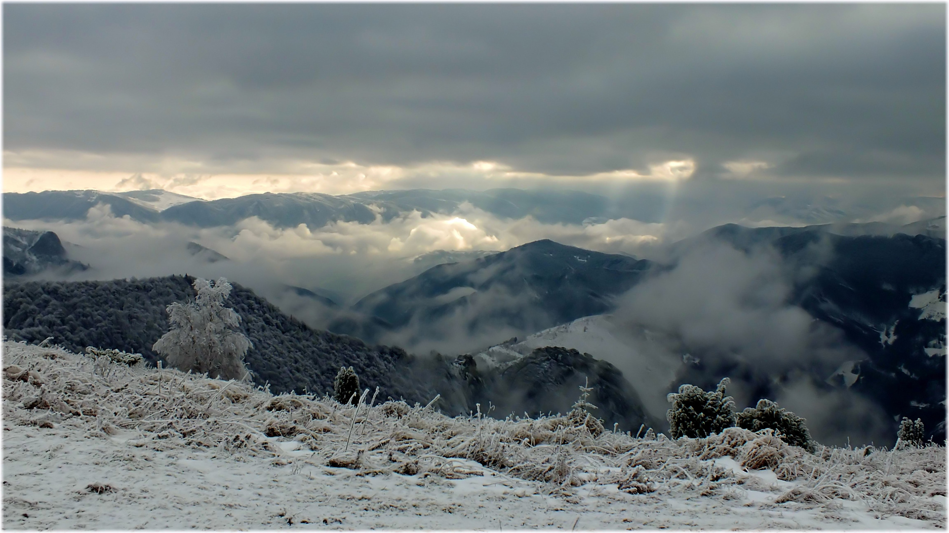 Trascau Mountains. 