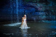 trash the dress