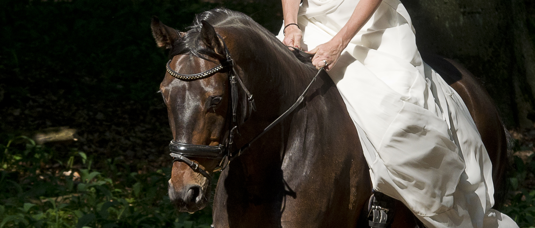 Trash the dress