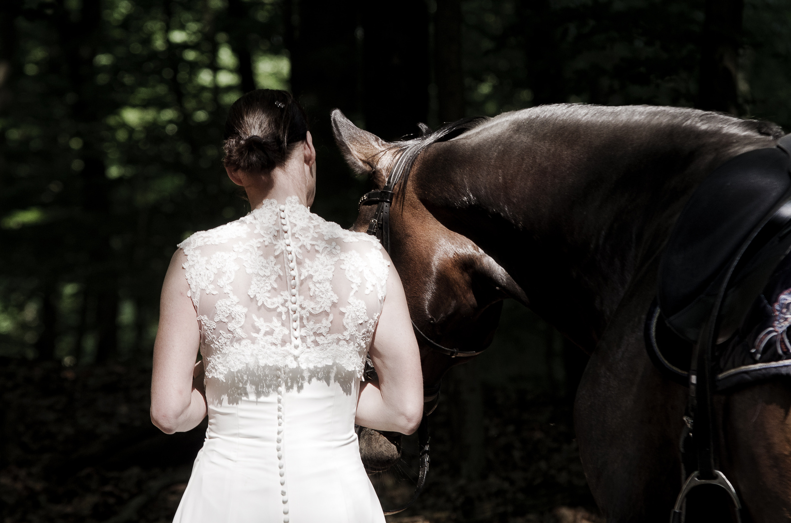 Trash the dress mit Pferd im Wald