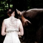 Trash the dress mit Pferd im Wald