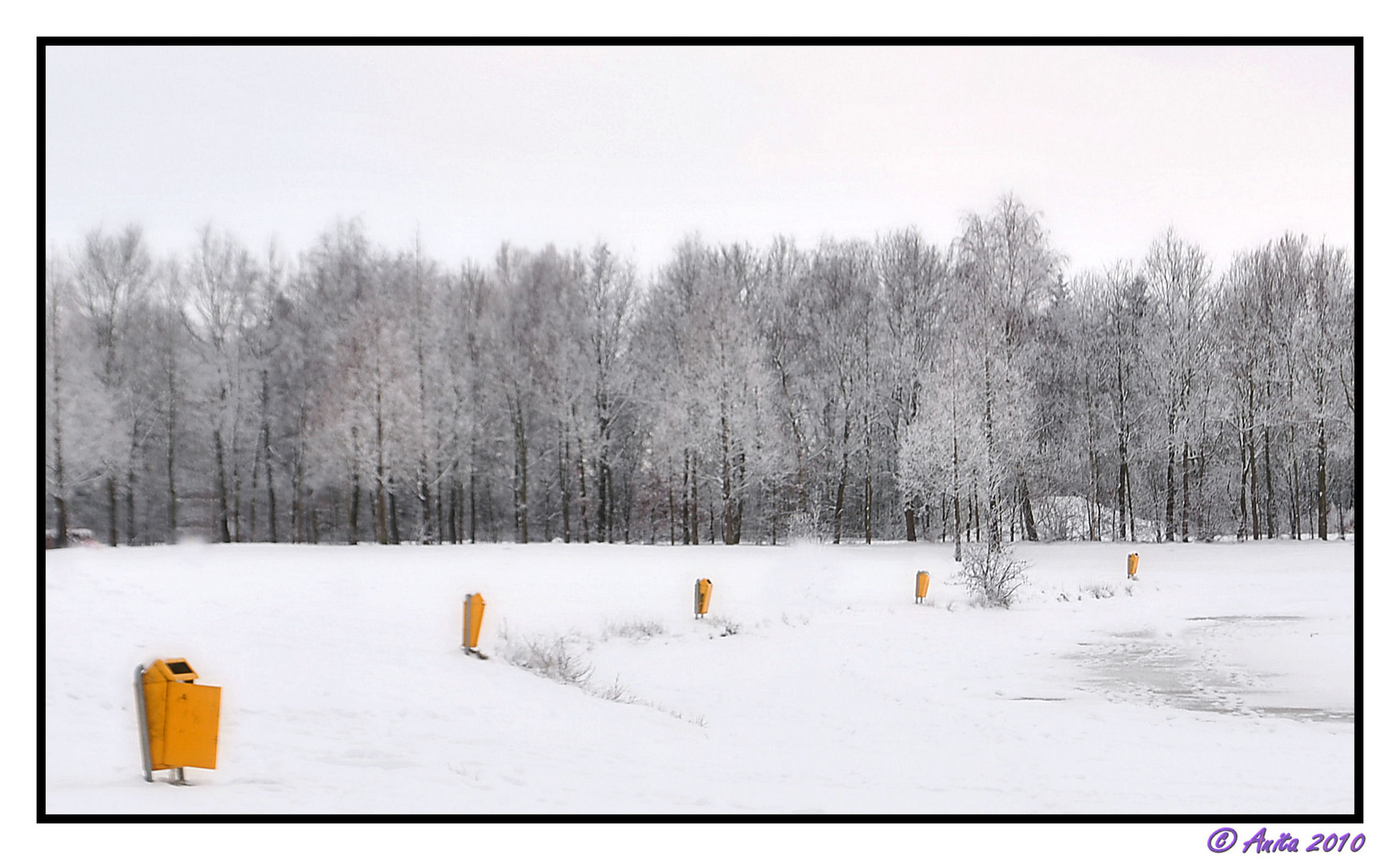 Trashing through the snow