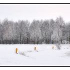 Trashing through the snow