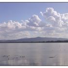 Trasimener See im Oktober