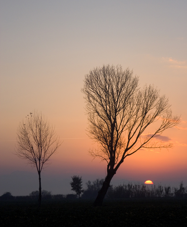 Trasimeno 1