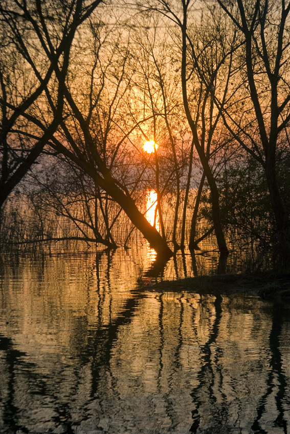 Trasimeno 3