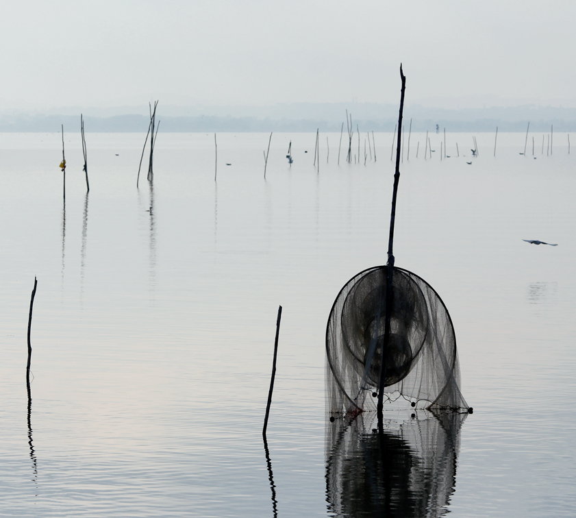 Trasimeno lake 1